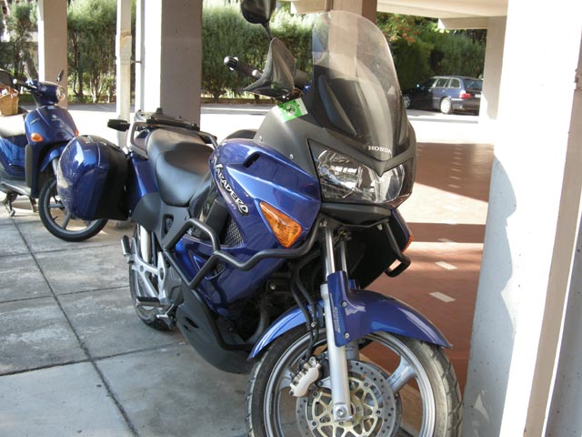 motto motto from madagascar 2. Search Results: Moto 2